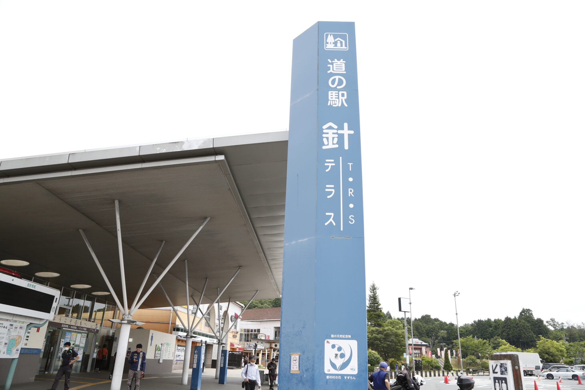 公の場での発言・インタビュー報道記録